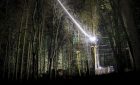 Go Ape Aberdeen - Sundown Zips