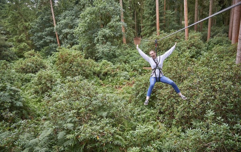 Go Ape Aberfoyle - Zip Line Experience