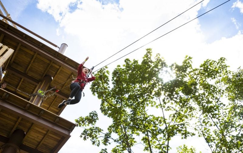 Go Ape Alexandra Palace - Treetop Adventure