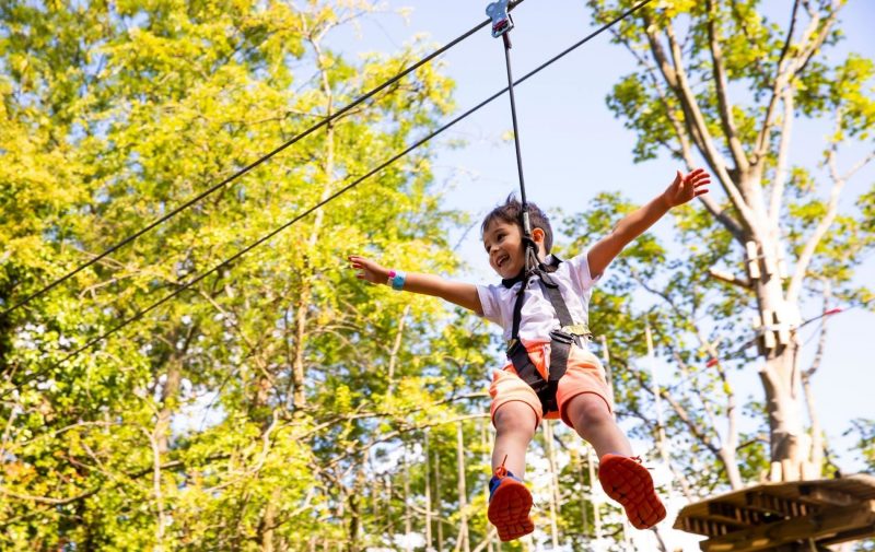 Go Ape Alexandra Palace - Treetop Adventure