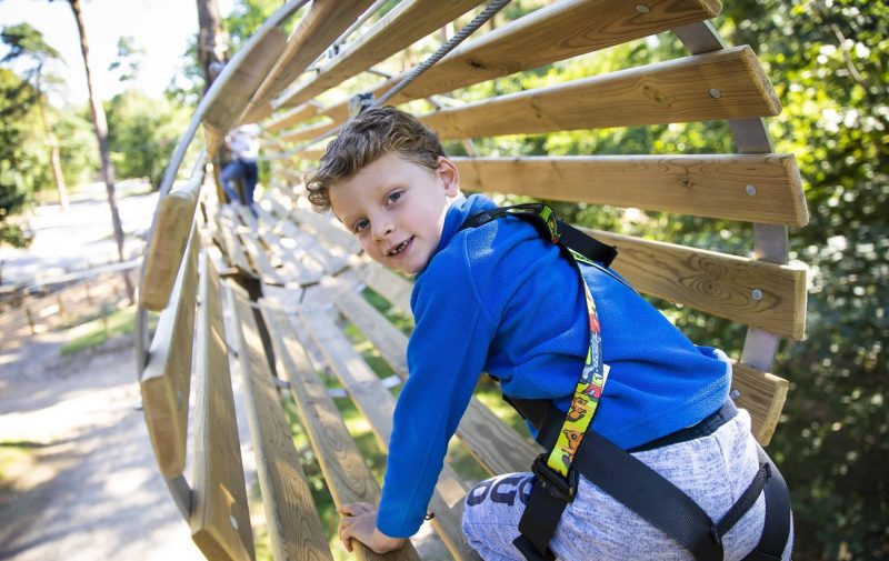 Go Ape Alice Holt - Treetop Adventure