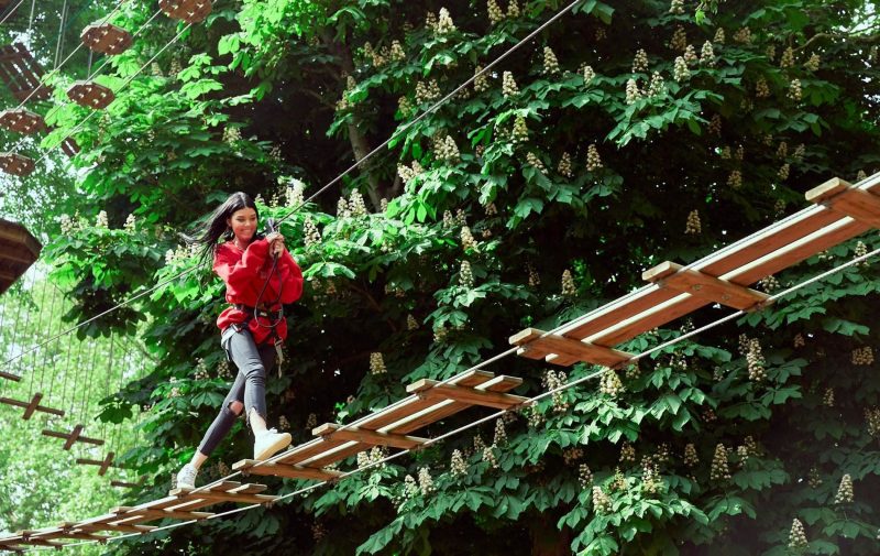 Go Ape Battersea Park - Treetop Challenge Xpress