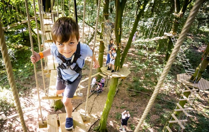 Go Ape Black Park - Treetop Adventure