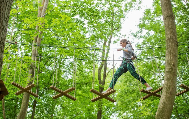Go Ape Black Park - Treetop Challenge Xpress