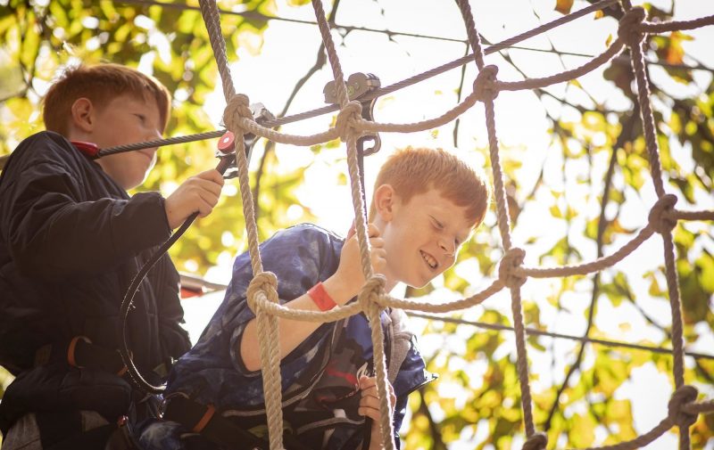 Go Ape Bracknell - Treetop Adventure+