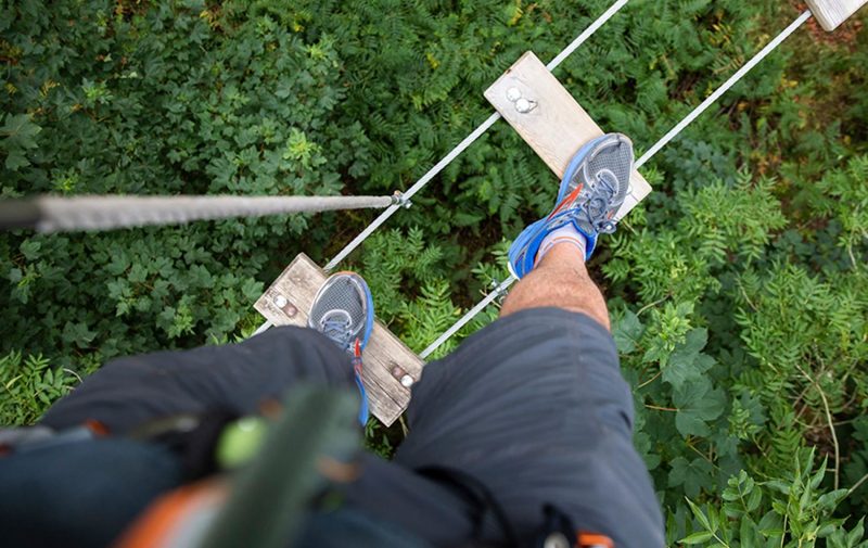 Go Ape Cockfosters - Treetop Challenge