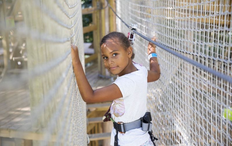 Go Ape Crawley - Treetop Adventure