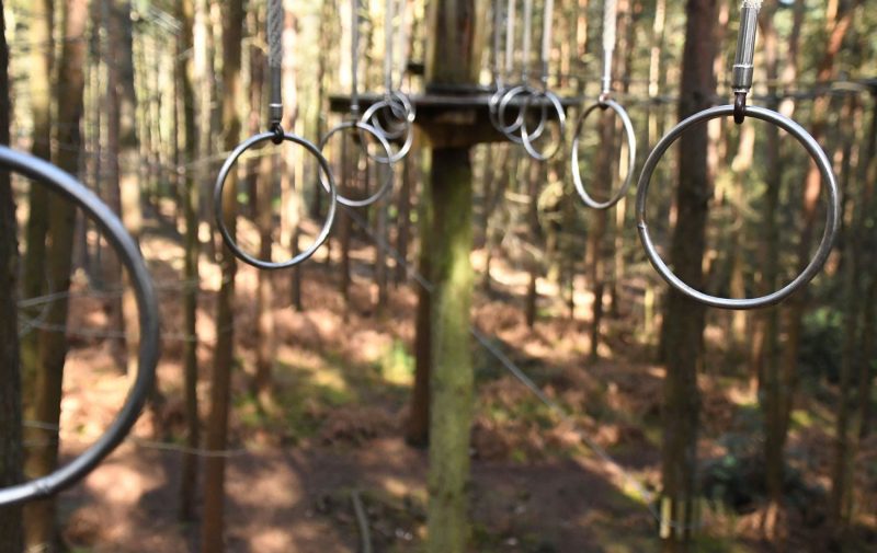 Go Ape Crawley - Treetop Challenge