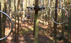 Go Ape Crawley - Treetop Challenge