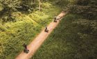 Go Ape Dalby - Forest Segway