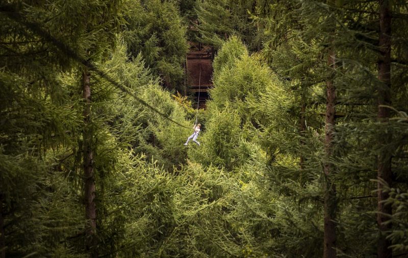 Go Ape Dalby - Treetop Challenge