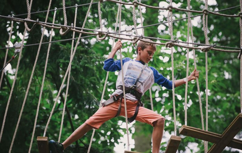 Go Ape Delamere - Treetop Adventure