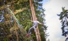 Go Ape Delamere - Treetop Challenge