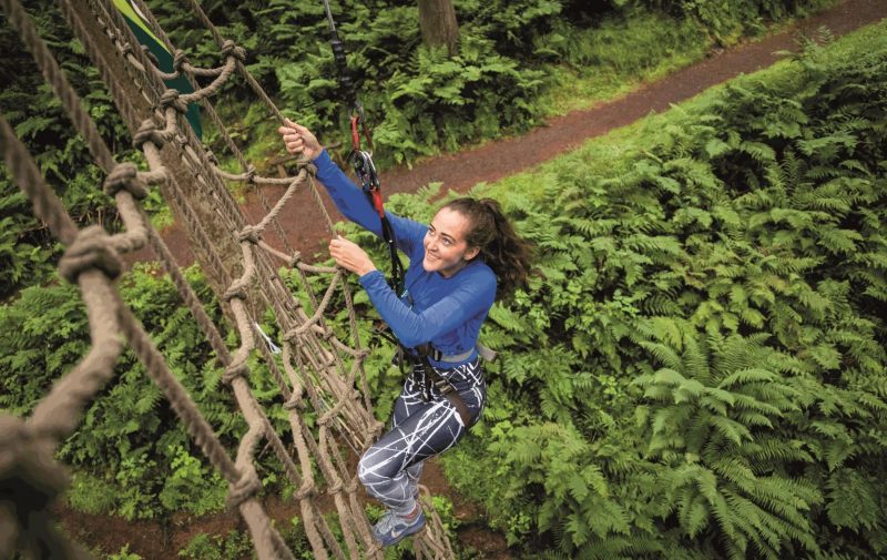 Go Ape Glentress Forest - Treetop Challenge