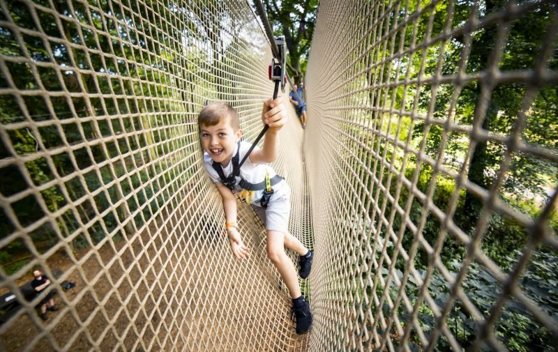Go Ape Haldon - Treetop Challenge