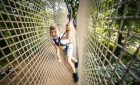 Go Ape Haldon - Treetop Challenge