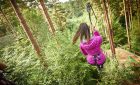 Go Ape Haldon - Treetop Challenge