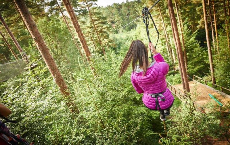 Go Ape Haldon - Treetop Challenge