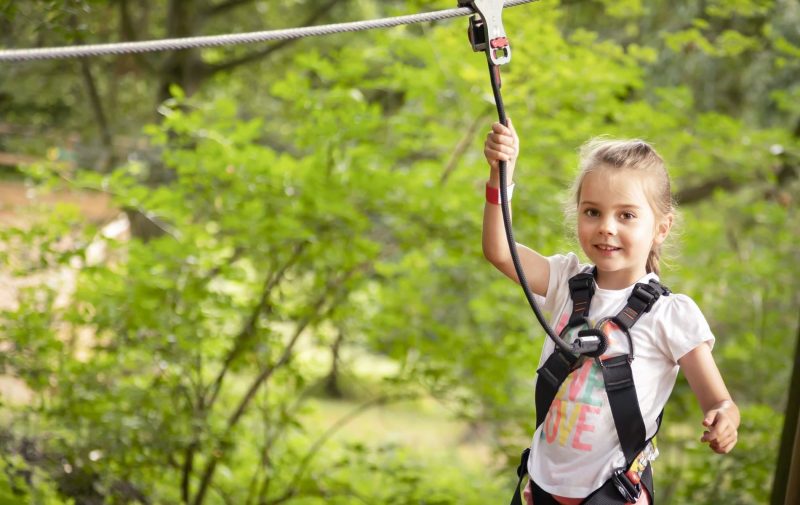 Go Ape Leeds Castle Kent - Treetop Adventure
