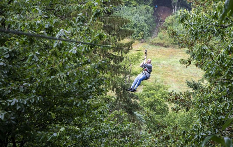 Go Ape Leeds Castle Kent - Treetop Challenge