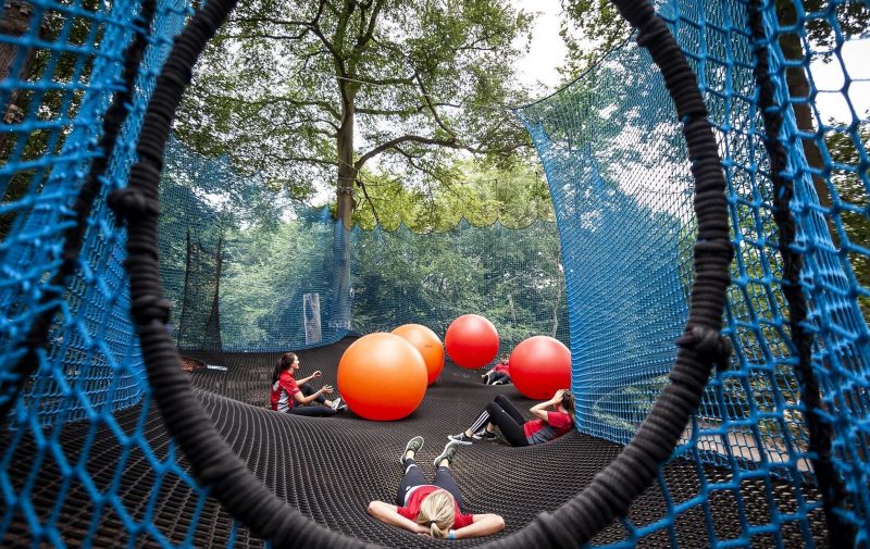 Go Ape Moors Valley - Nets Adventure