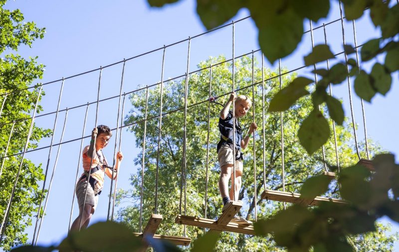 Go Ape Moors Valley - Treetop Adventure +