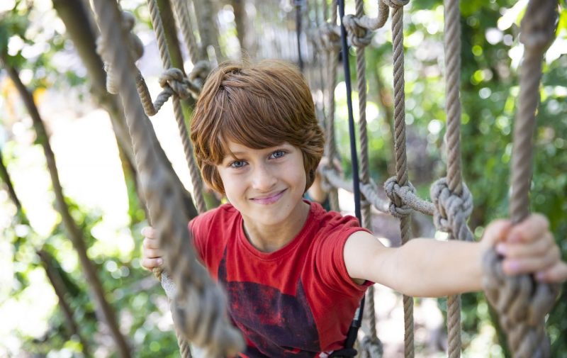 Go Ape Moors Valley - Treetop Adventure