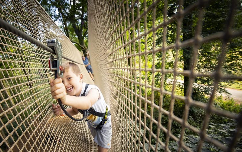 Go Ape Normanby Hall - Treetop Adventure