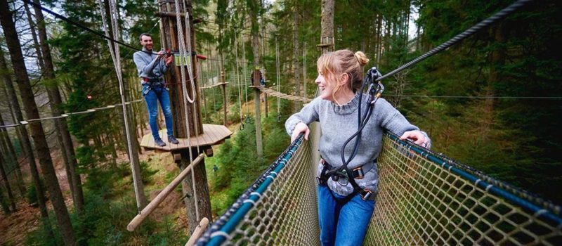 Go Ape Rivington