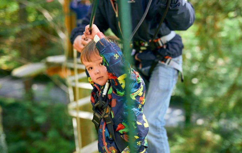Go Ape Sherwood - Treetop Adventure