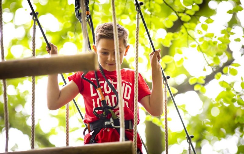 Go Ape Southampton - Treetop Adventure