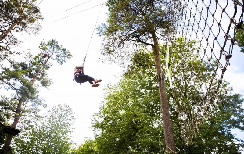 Go Ape Southampton - Treetop Challenge