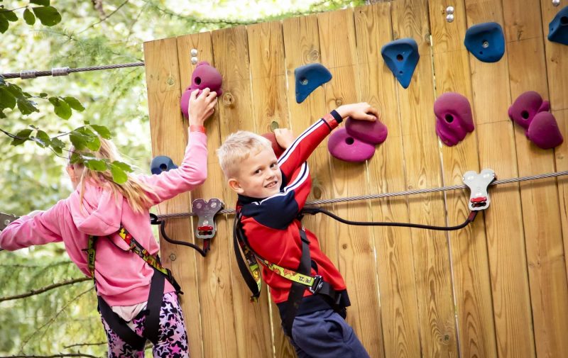 Go Ape Temple Newsam - Treetop Adventure