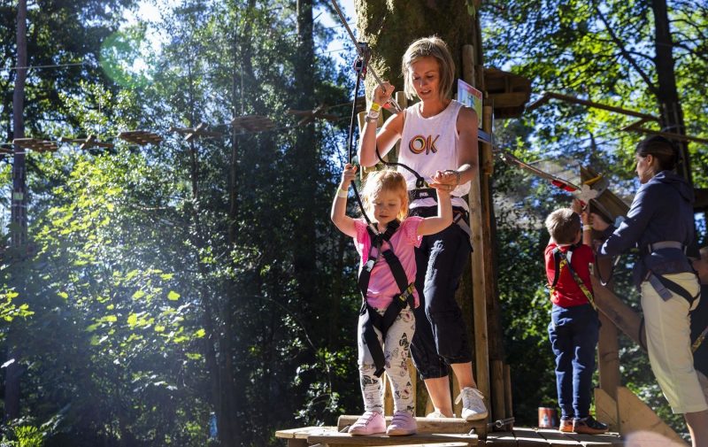 Go Ape Thetford Forest - Treetop Adventure