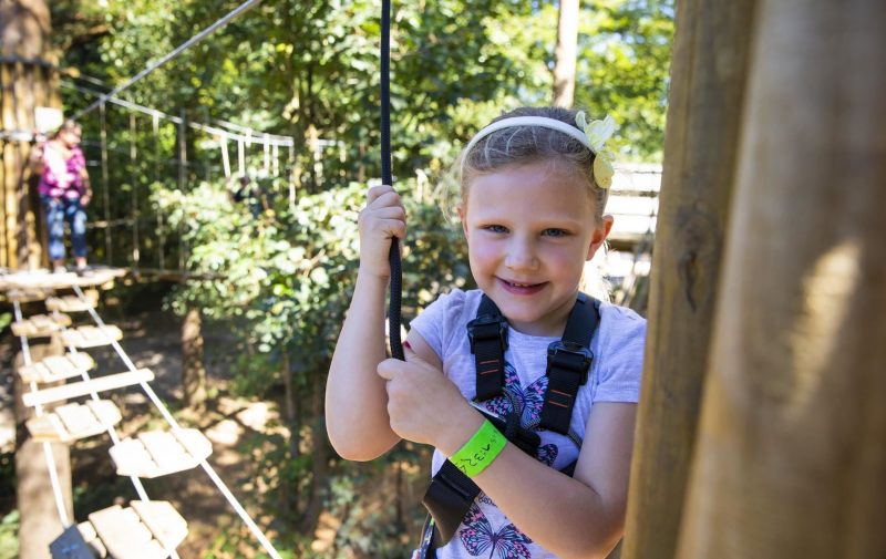 Go Ape Wyre - Treetop Adventure