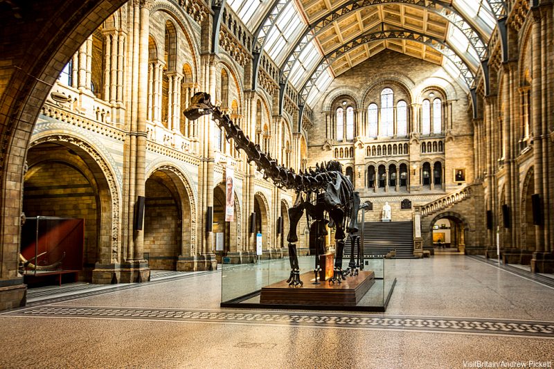 Image Credit: VisitBritain/Andrew Pickett - The Natural History Museum