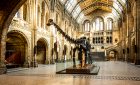 Image Credit: VisitBritain/Andrew Pickett - The Natural History Museum