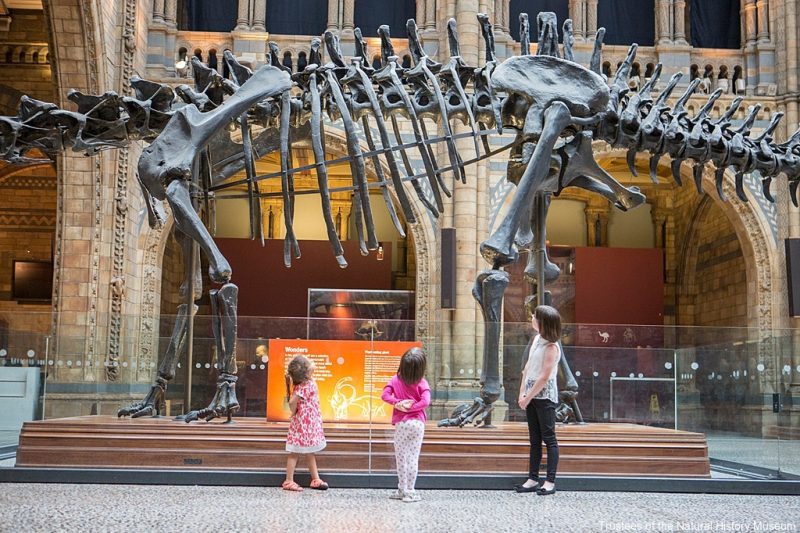 Image Credit: Trustees of the Natural History Museum - Children with the Diplodocus exhibit