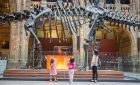Image Credit: Trustees of the Natural History Museum - Children with the Diplodocus exhibit