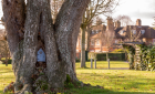 Norton Park - Gardens