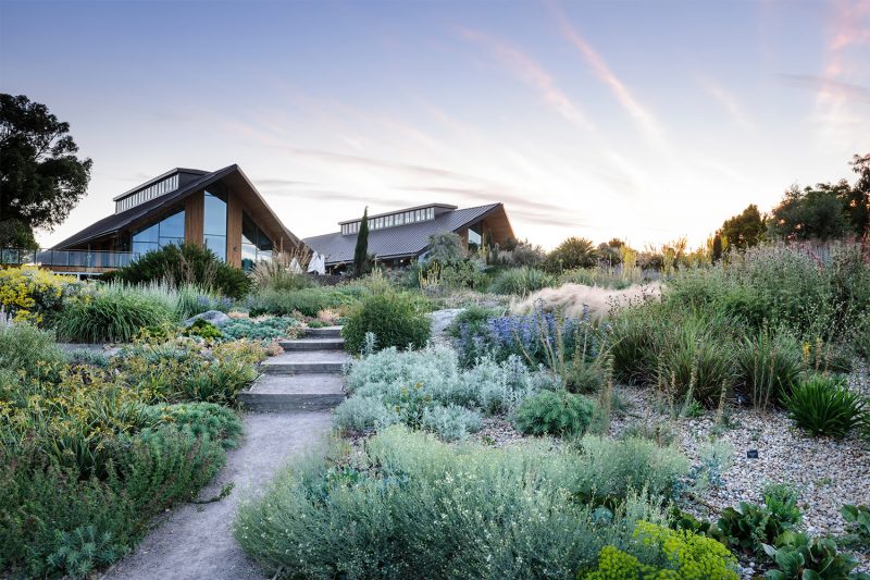 RHS Hyde Hall - Dry Garden, General view showing new Learning Centre/Restaurant in the background