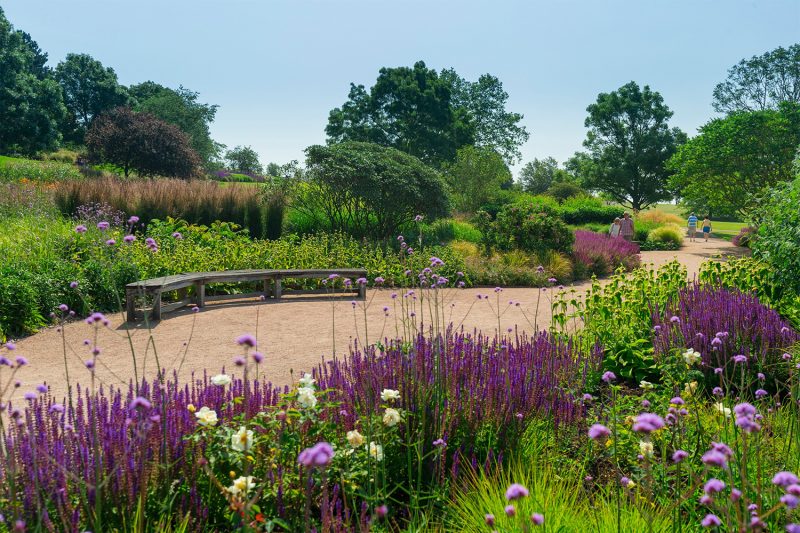 Visitors socially distancing at Clover Hill Borders at RHS Garden Hyde Hall