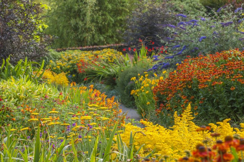 The Hot Garden in summer at RHS Garden Rosemoor