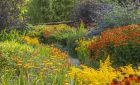 The Hot Garden in summer at RHS Garden Rosemoor