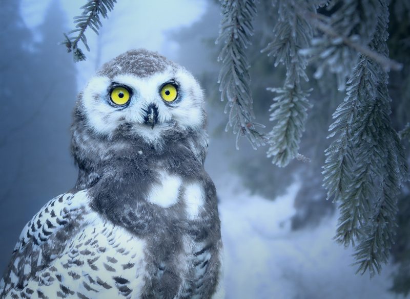 Winter