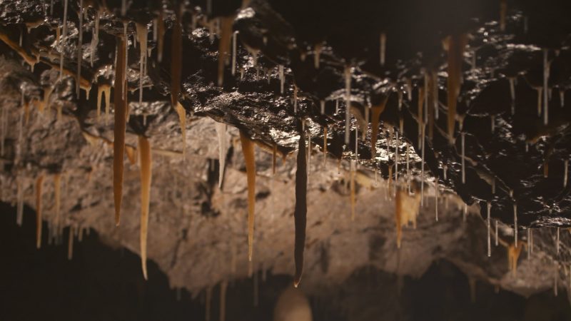 Stump Cross Caverns - Cave